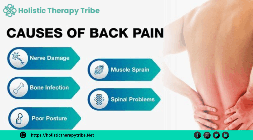 Causes & prevent of Back pain