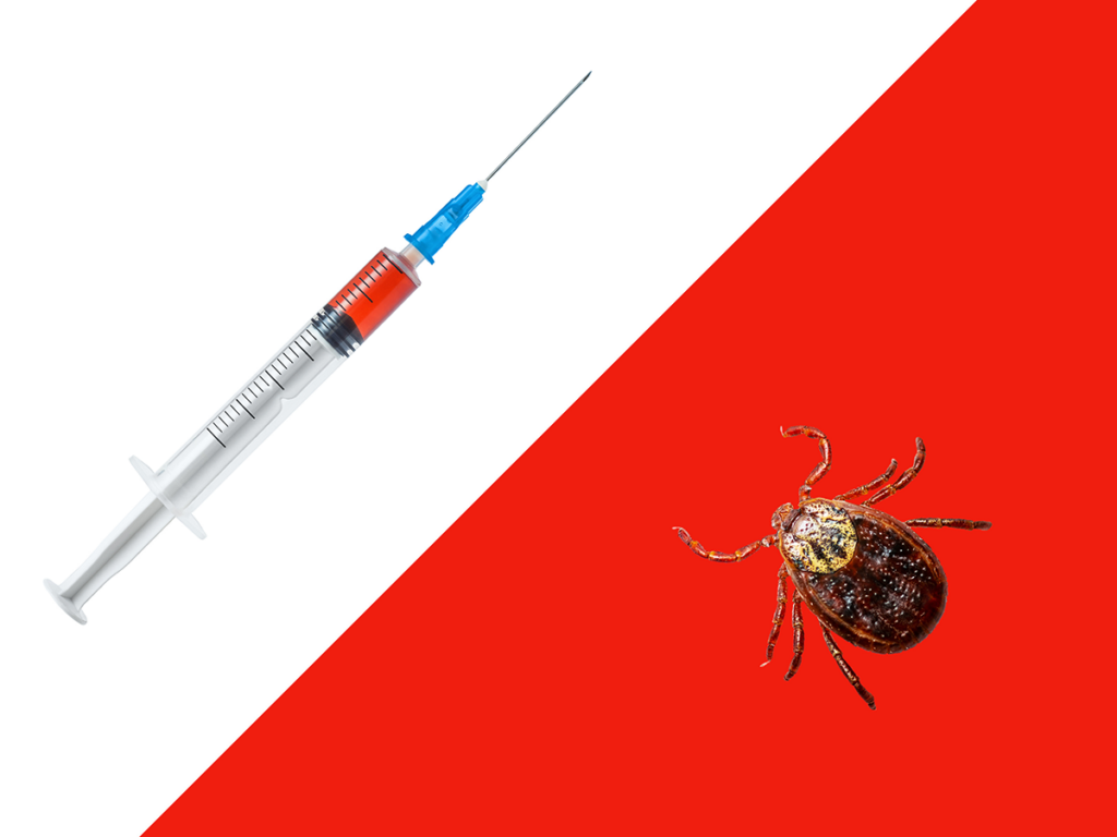Role of Vaccines in Lyme Disease Prevention